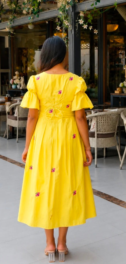 Golden Glow Embroidered Dress